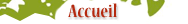Accueil 